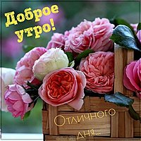 Пожелание доброго утра в картинке женщине