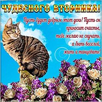 Пожелание хорошего вторника в картинке прикольное