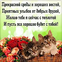 Пожелание хорошей среды в картинке прикольное