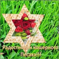Праздник песах картинка