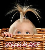 Прииветт