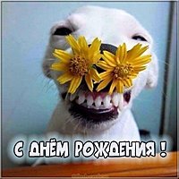 Прикольная бесплатная картинка на день рождения