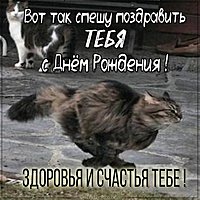 Прикольная фото картинка на день рождения