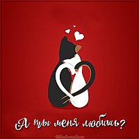 Прикольная картинка а ты меня любишь