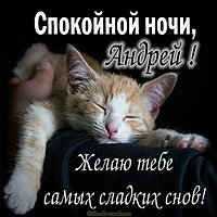 Прикольная картинка Андрей спокойной ночи