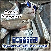 Прикольная картинка для Адама