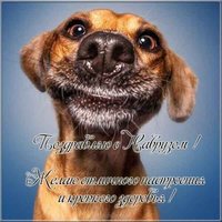 Прикольная картинка поздравление наурыз