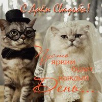 Прикольная картинка поздравление с днем свадьбы