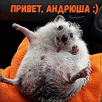 Прикольная картинка привет Андрюша