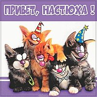 Прикольная картинка привет Настюха