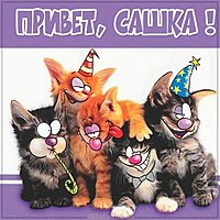 Прикольная картинка привет Сашка