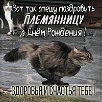 Прикольная картинка с днем рождения племяннице