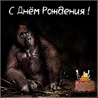 Прикольная картинка с днем рождения