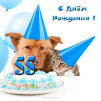 Прикольная открытка 55 лет