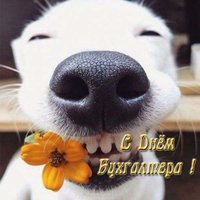 Прикольная открытка бухгалтеру