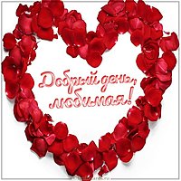 Прикольная открытка добрый день любимая