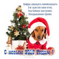 Прикольная открытка к году собаки