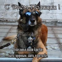 Прикольная открытка ко дню полиции