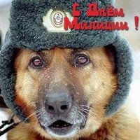 Прикольная открытка с днем милиции бесплатно