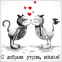 Прикольная открытка с добрым утром милая