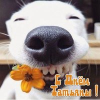 Прикольная открытка с Татьяниным днем