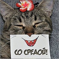 Прикольная открытка со средой