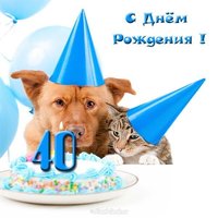 Прикольная открытка женщине 40 лет
