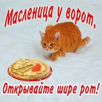 Прикольная поздравительная открытка с днем масленицы