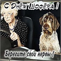 Прикольная смешная картинка с днем шофера