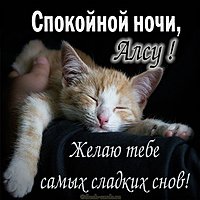Прикольная смешная картинка спокойной ночи Алсу