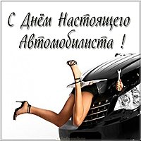 Прикольная смешная открытка с днем автомобилиста