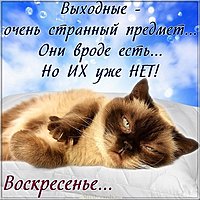 Прикольная воскресная открытка