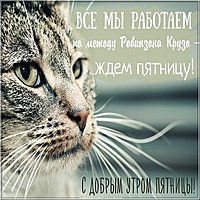 Прикольное фото доброе утро пятница