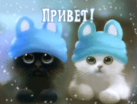 Приветик