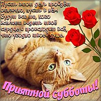 Приятной субботы прикольная картинка