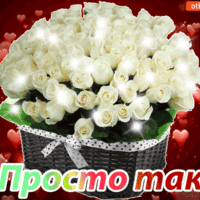 Просто так! Для тебя!