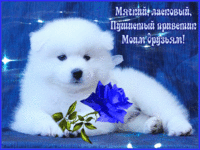 Пушистый приветик от меня моим друзьям