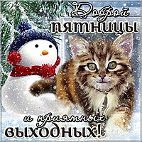 Пятница картинка прикольная зимняя