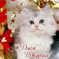 С днем рождения котенок открытка