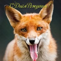 С днем рождения лисичка открытка