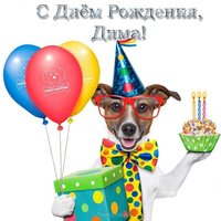 С днём рождения Дима прикольная открытка