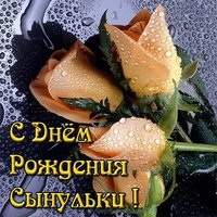 С днём рождения сынульки открытка