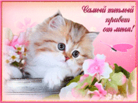 Самый тёплый приветик от меня