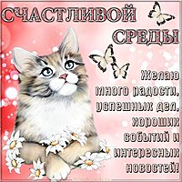 Счастливой среды картинка прикольная