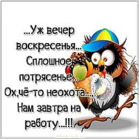 Сегодня воскресенье а завтра понедельник картинка прикольная