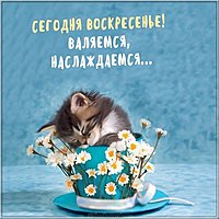 Сегодня воскресенье прикольная картинка