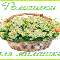 Шикарные ромашки, для шикарной милашки