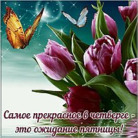 Шутка открытка четверг