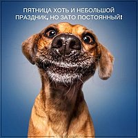 Смешная картинка для поднятия настроения на пятницу