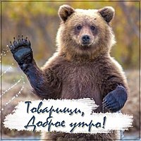 Смешная картинка доброе утро девчонки